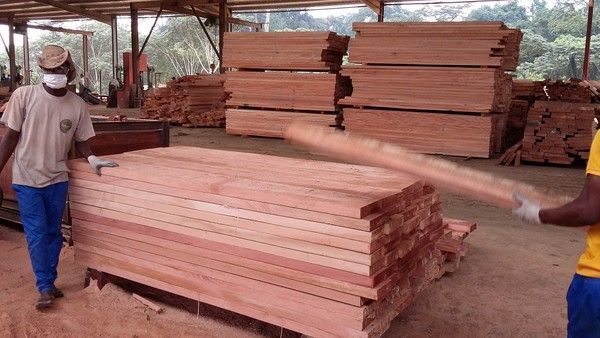 societe de bois de koulamoutou